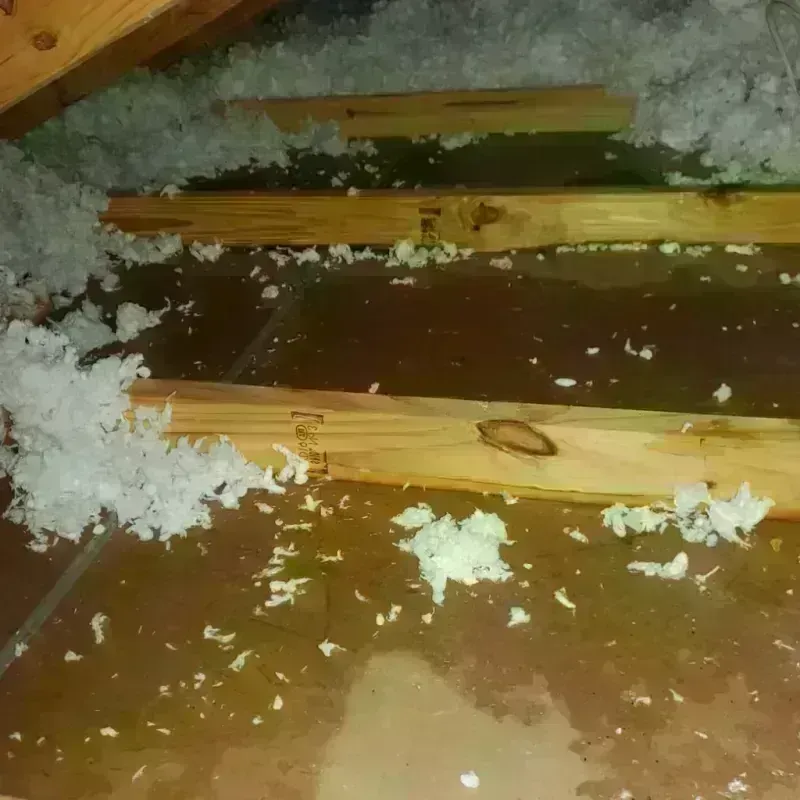 Attic Water Damage in Cheat Lake, WV